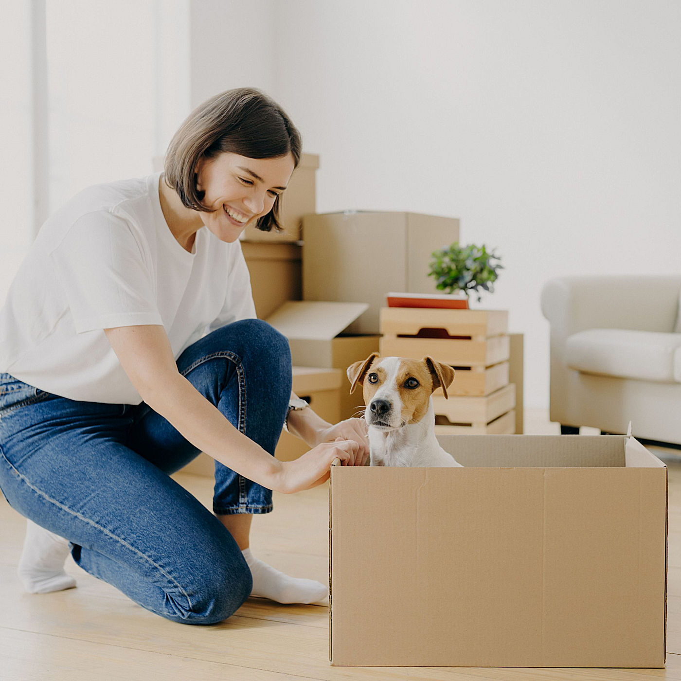 Pet Moving Tips - Moving Your Cat Or Dog - 903 Moving Company - North Texas based in Sherman Texas