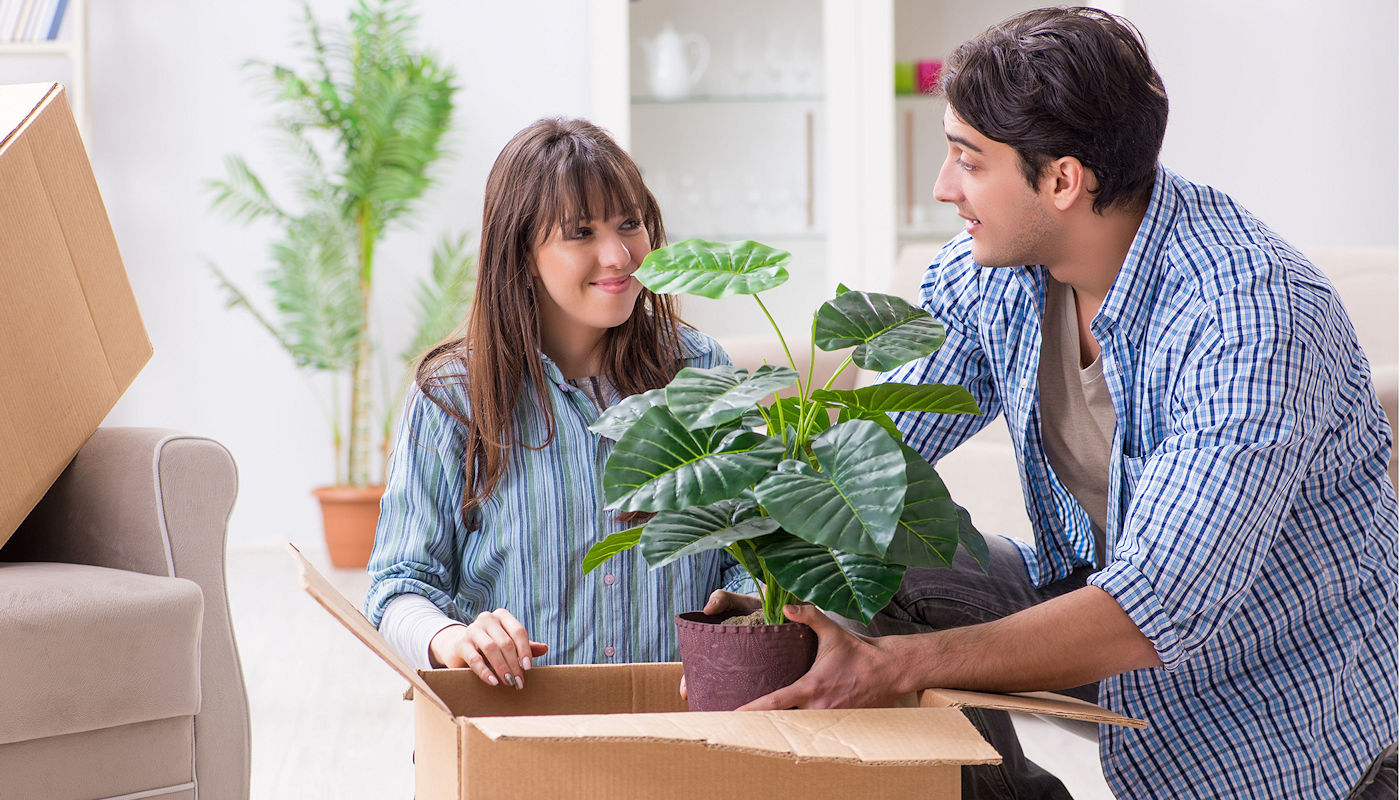 Moving Tips for Plants & Other Moving Issues- 903 Moving Company – North Texas based in Sherman Texas 903 Moving Company - Reliable, Dependable & Affordable Household & Commercial Moving for North Texas based in Sherman Texas